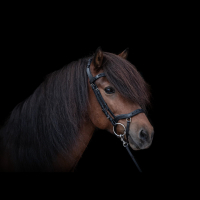 CrownHorse - Online Shop